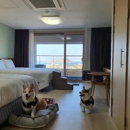 Hi Jeju Hotel Exterior photo