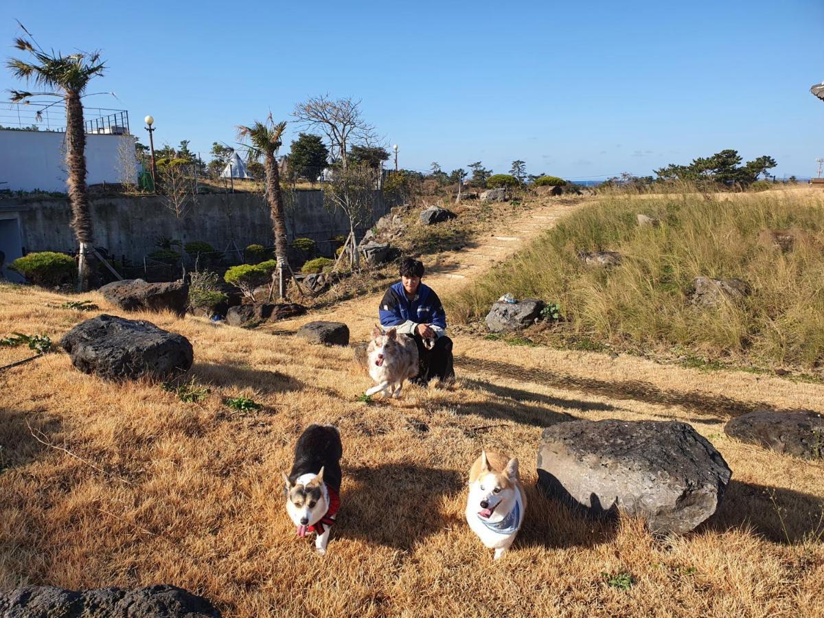 Hi 3* Jeju