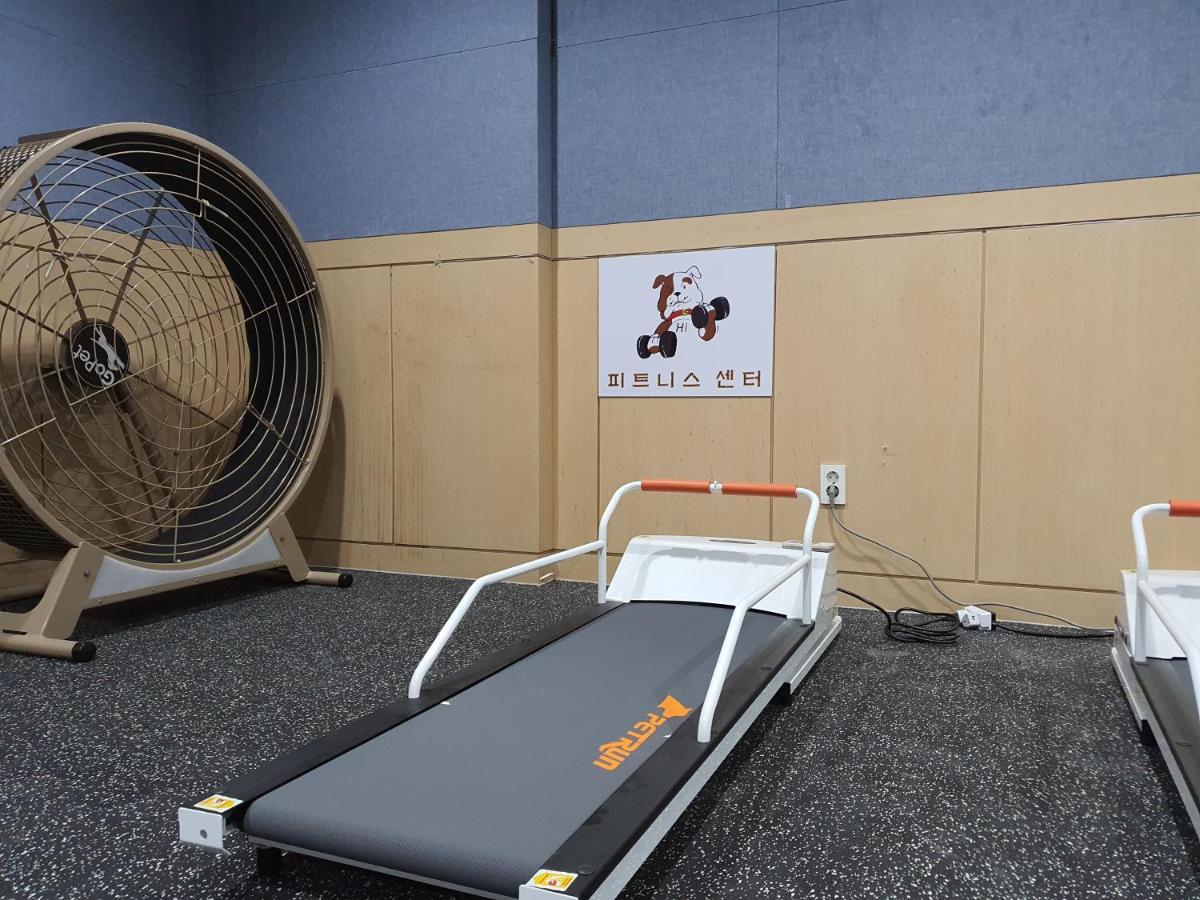 Hi 3* Jeju