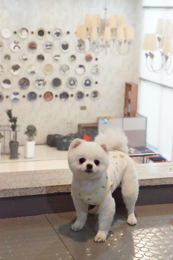 Hi Hotel Jeju