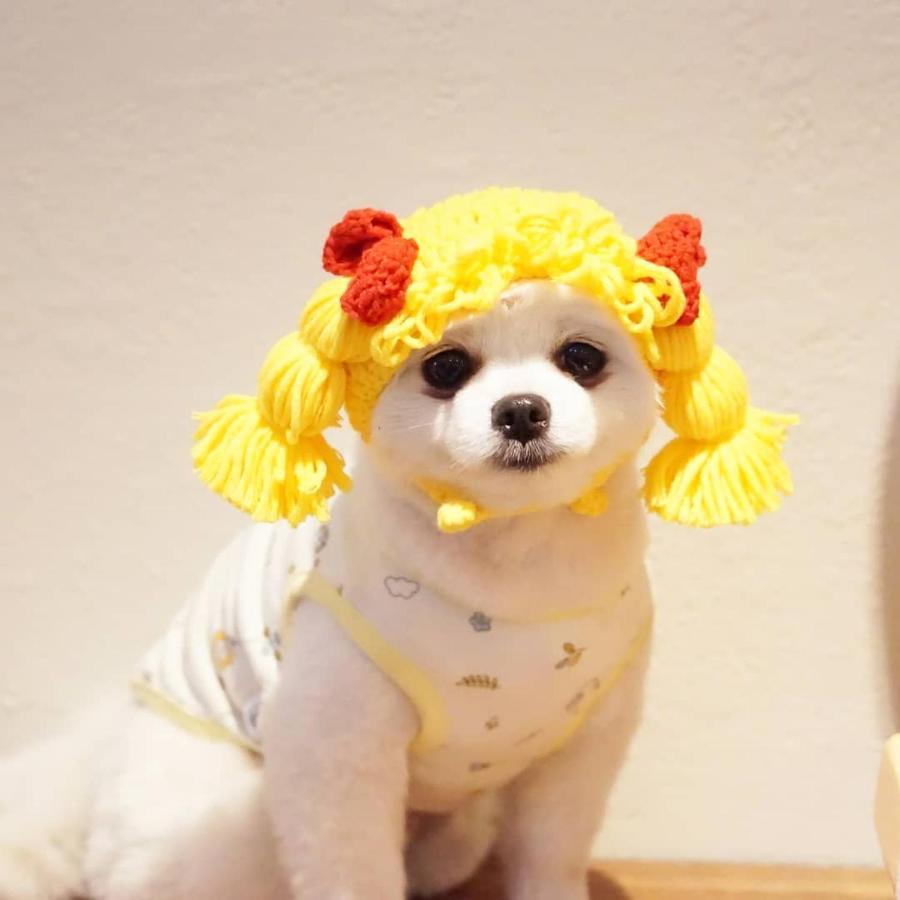 Hi 3* Jeju